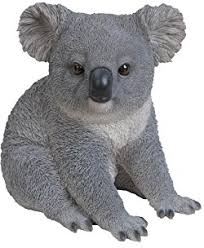 Real Life Koala Bear A