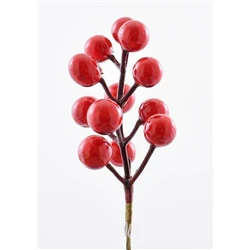 RED CHERRY BERRY PICK