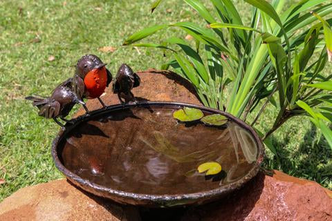 Red Robins Bird Bath D32cm