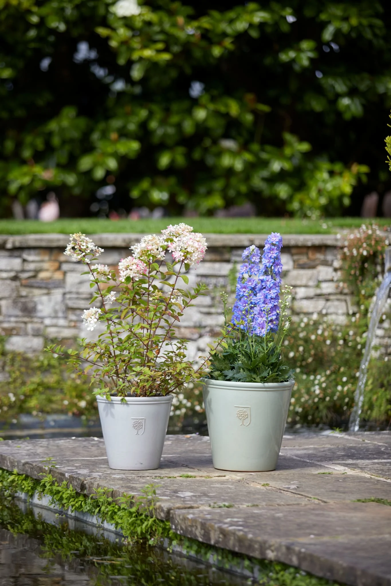 RHS CLASSIC 1 Dark Grey Pot Ø26cm - Image 3