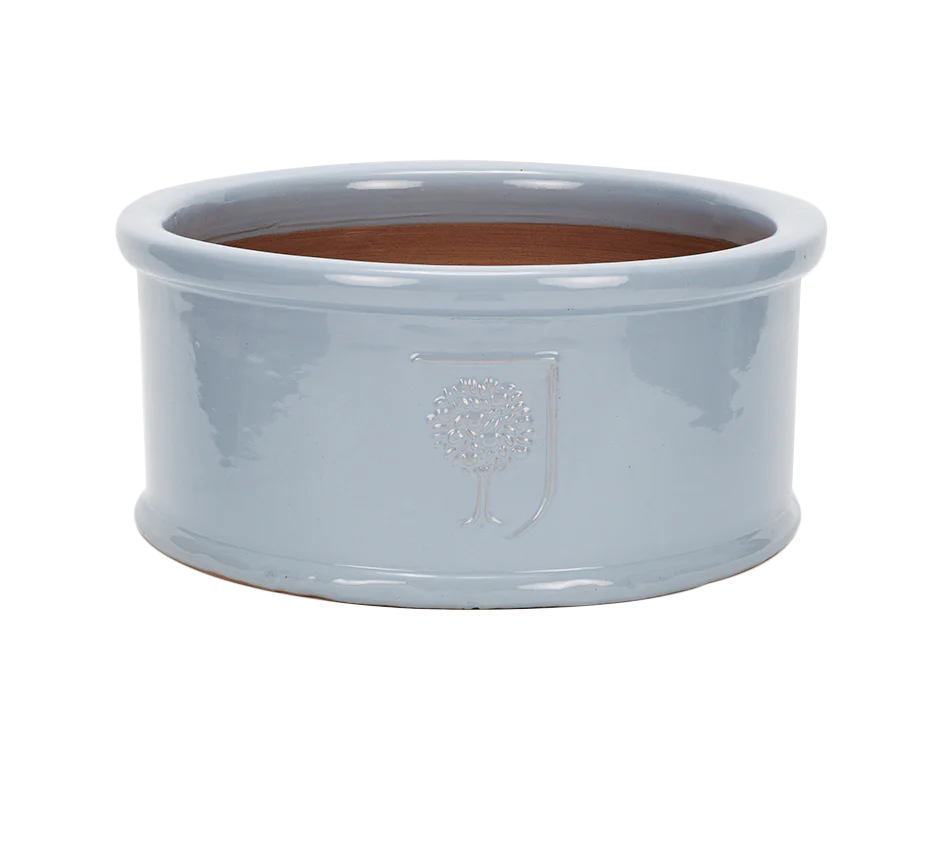 RHS Sky Blue Low Cylinder 29cm