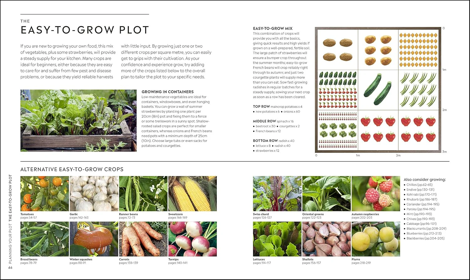 RHS Step by Step Veg Patch - Image 3