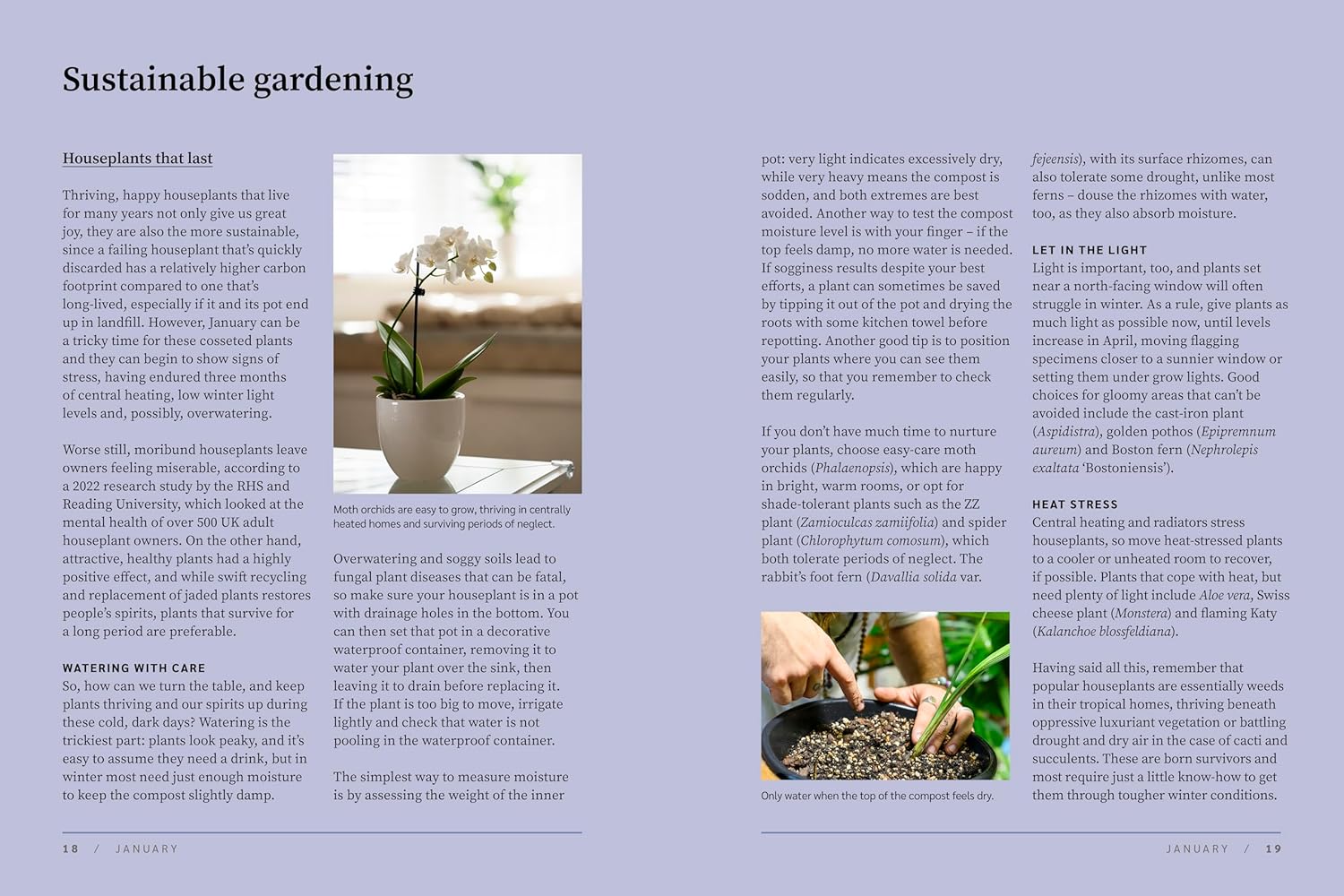RHS The Garden Almanac 2026 - Image 6