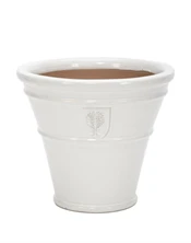 RHS White Cone 20cm