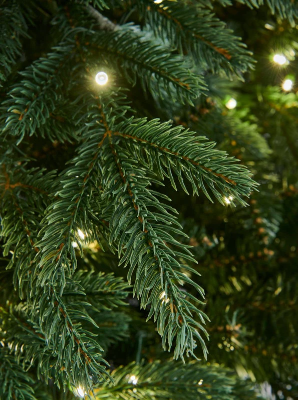 RIVINGTON FIR - 6.5ft Tree with 550 Warm White LED 5mm bulbs - Image 3