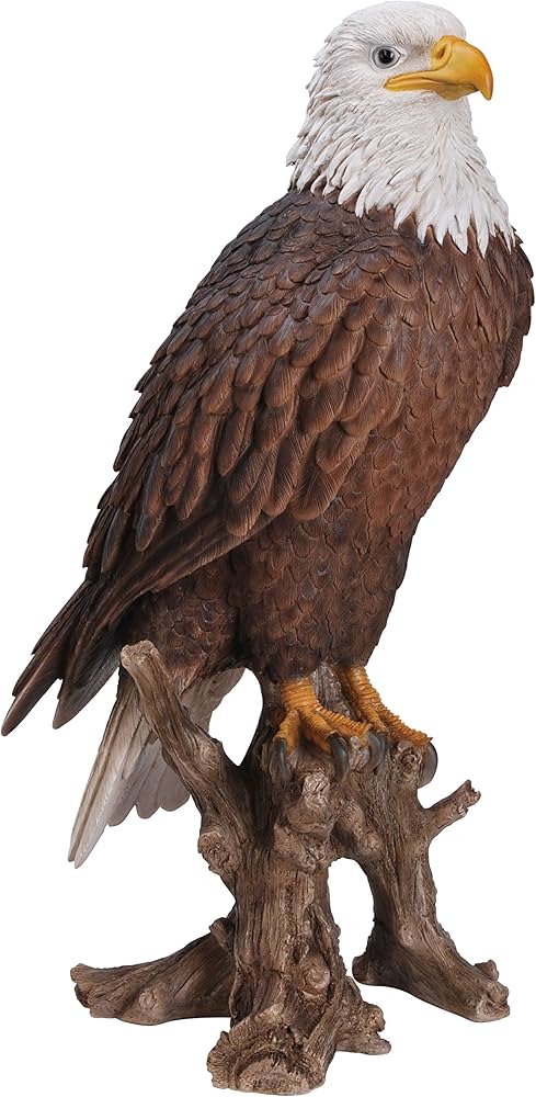 RL American Bald Eagle A