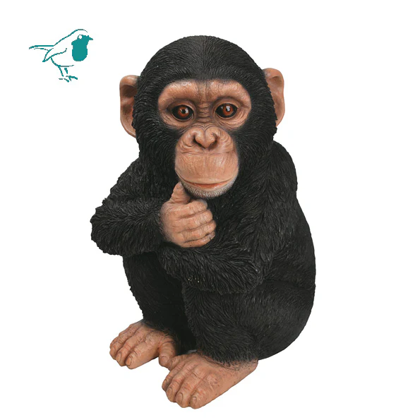 RL Baby Chimpanzee D
