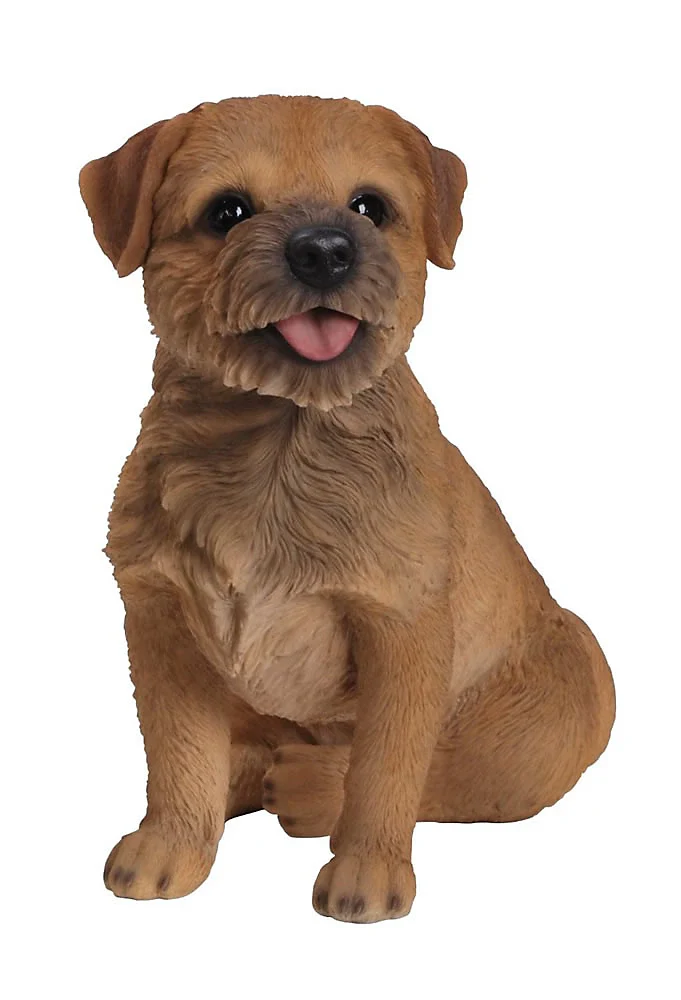 RL Border Terrier B