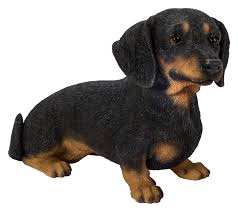 RL Dachsund Black/Brown Sitting D