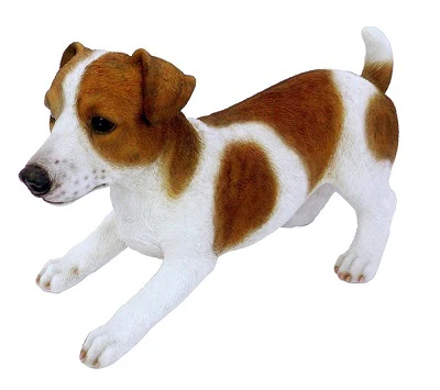 RL Jack Russell D