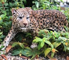 RL Leopard A - Image 2