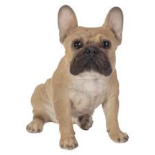 RL Sitting French Golden Bulldog D