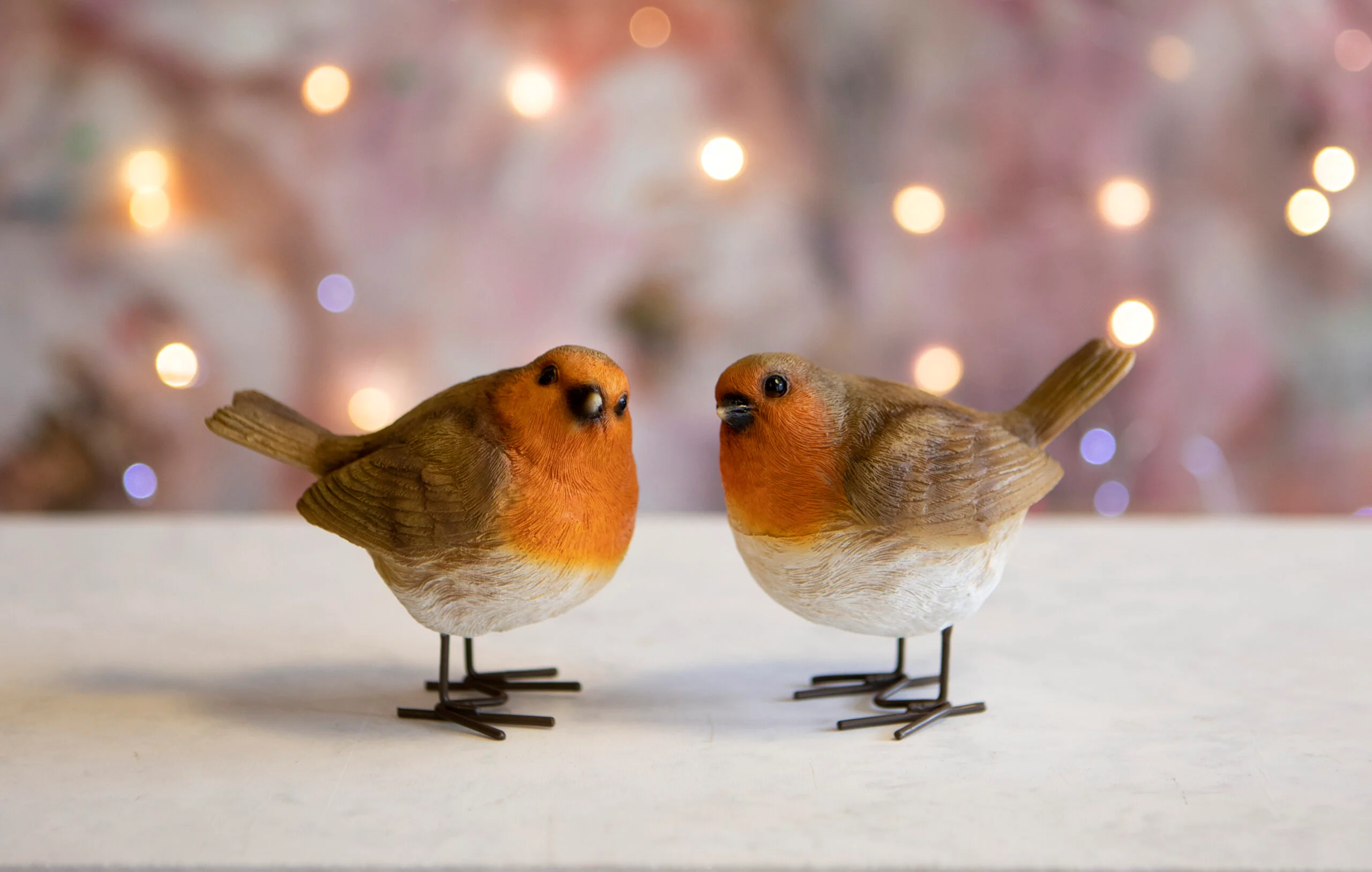 Robin - Image 2
