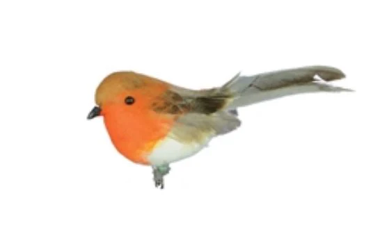Robin on Clip 6cm