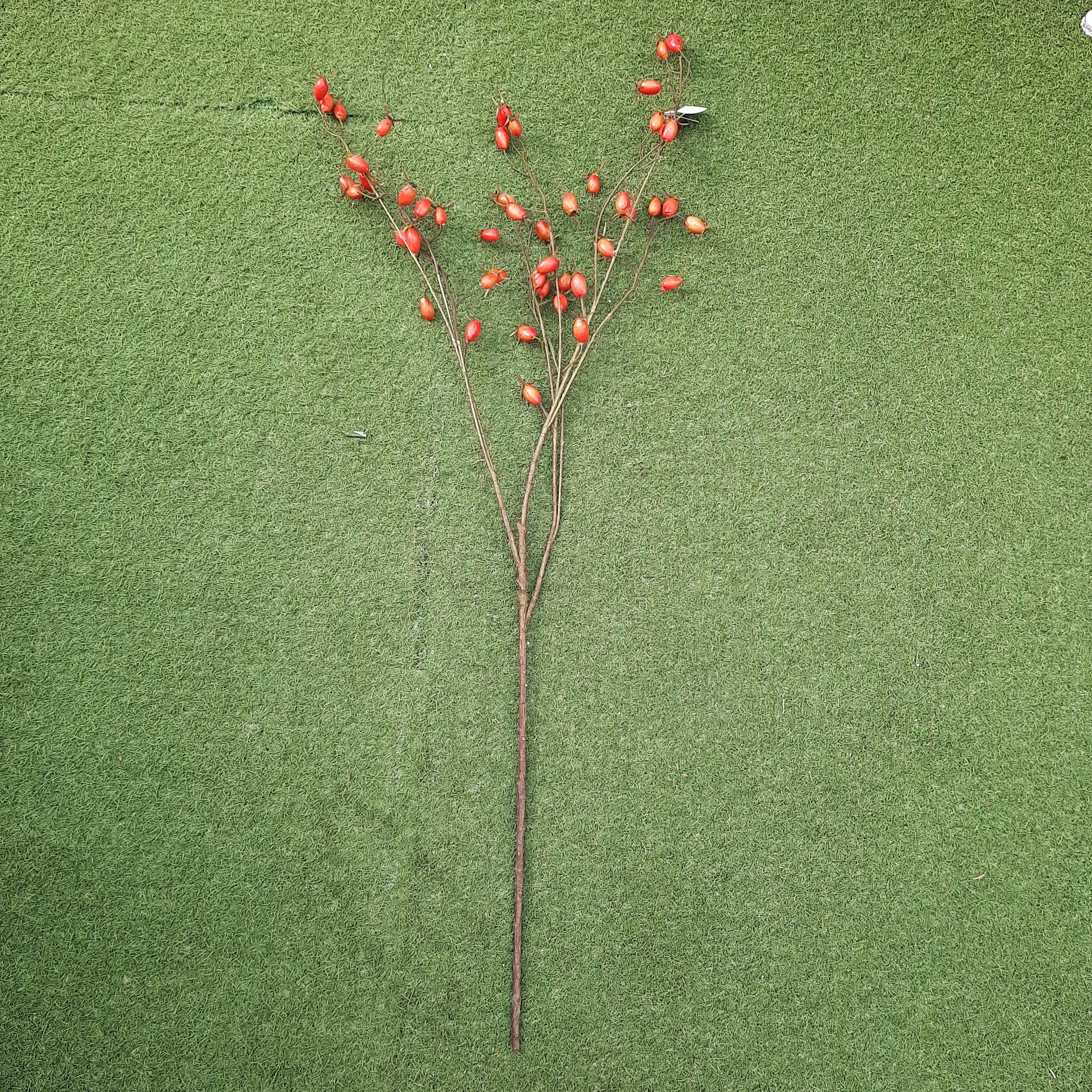 Rosehip Branch (100 cm orange) - Image 2