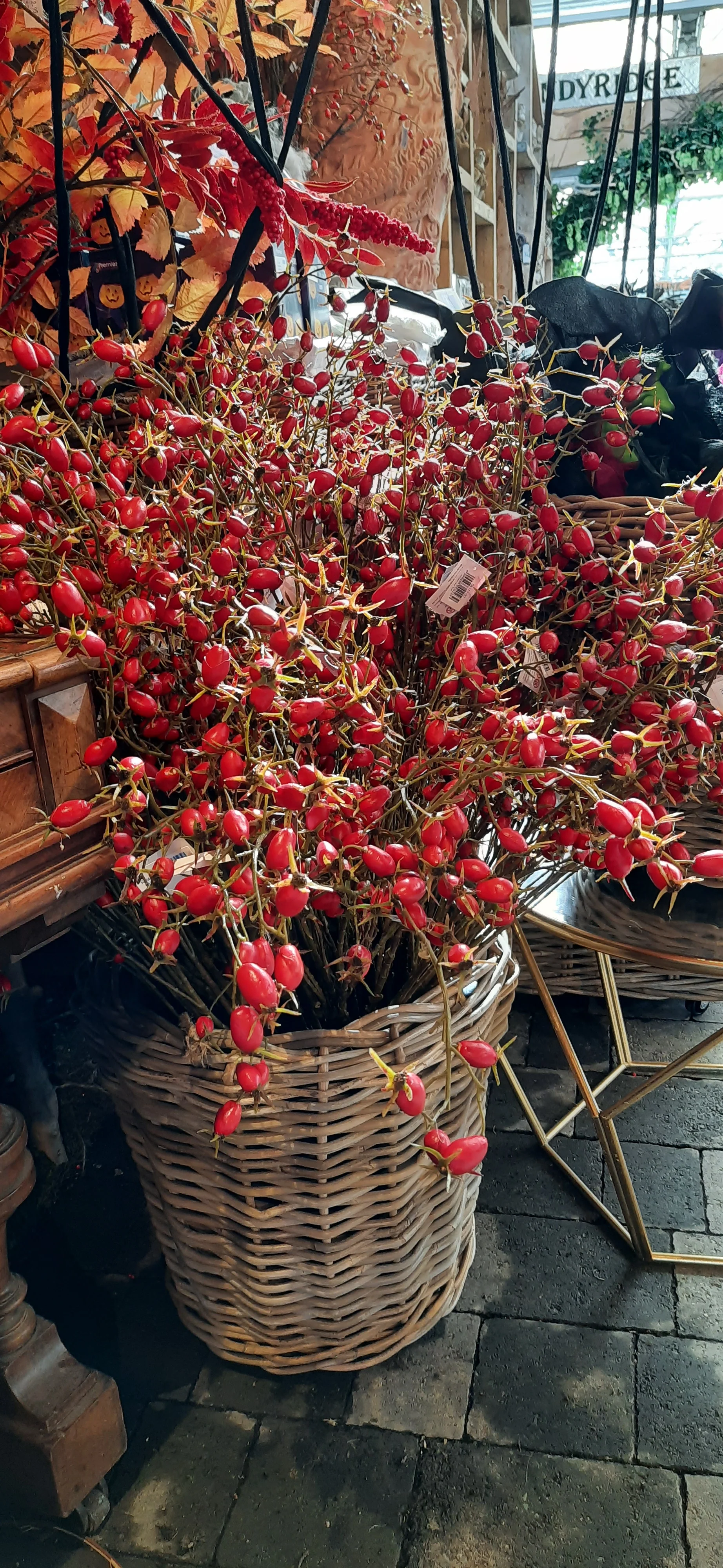 Rosehip Branch (100 cm red) - Image 3