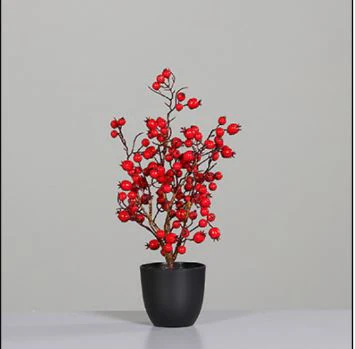 Rosehip tree in black plastic pot, 45 cm