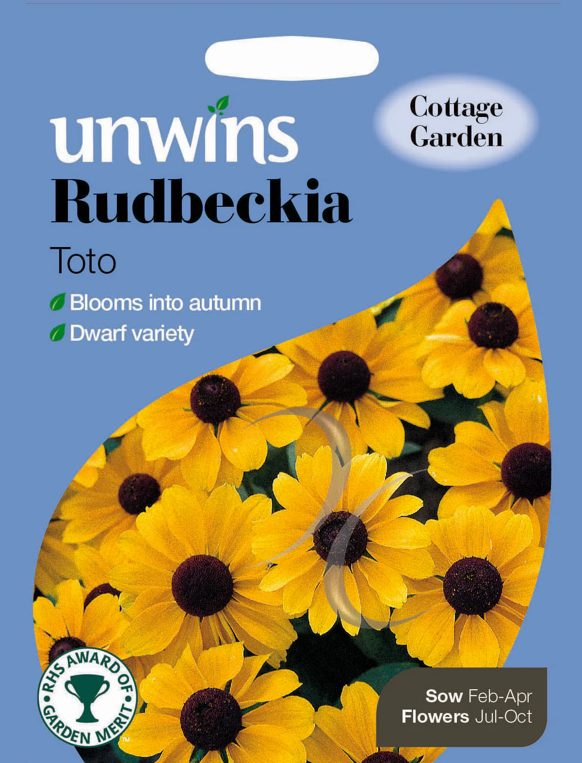 Rudbeckia Toto
