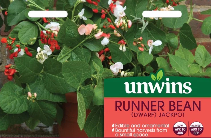 Runner Bean (Dwarf) Jackpot