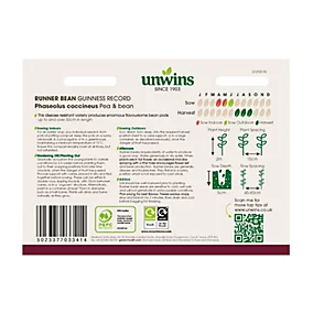 Runner Bean Guinness Record - Image 2