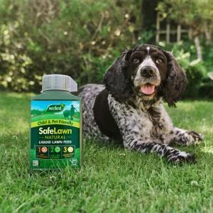 Safelawn Natural Liquid Lawn Feed - Image 2