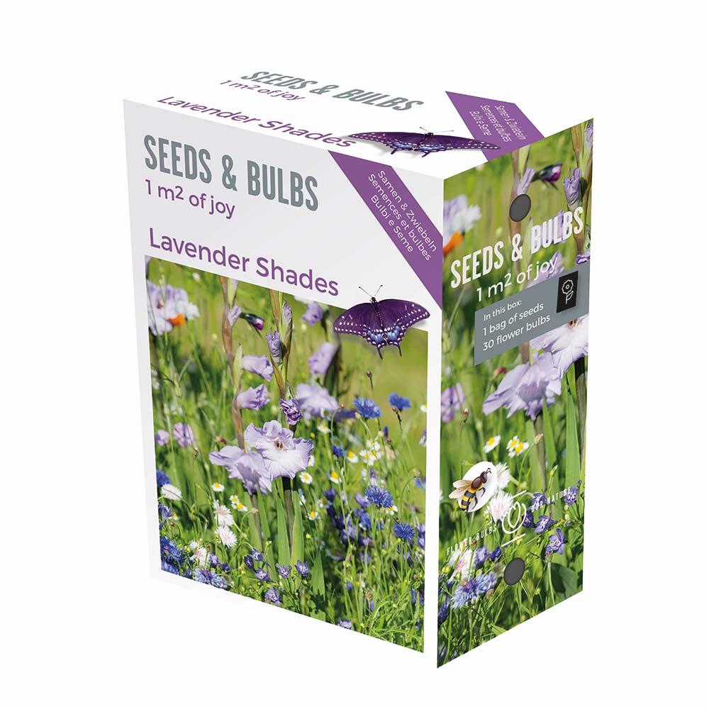 SEEDS & BULBS BOXES LAVENDER SHADES
