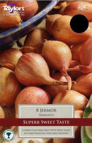 SHALLOT JERMOR 8