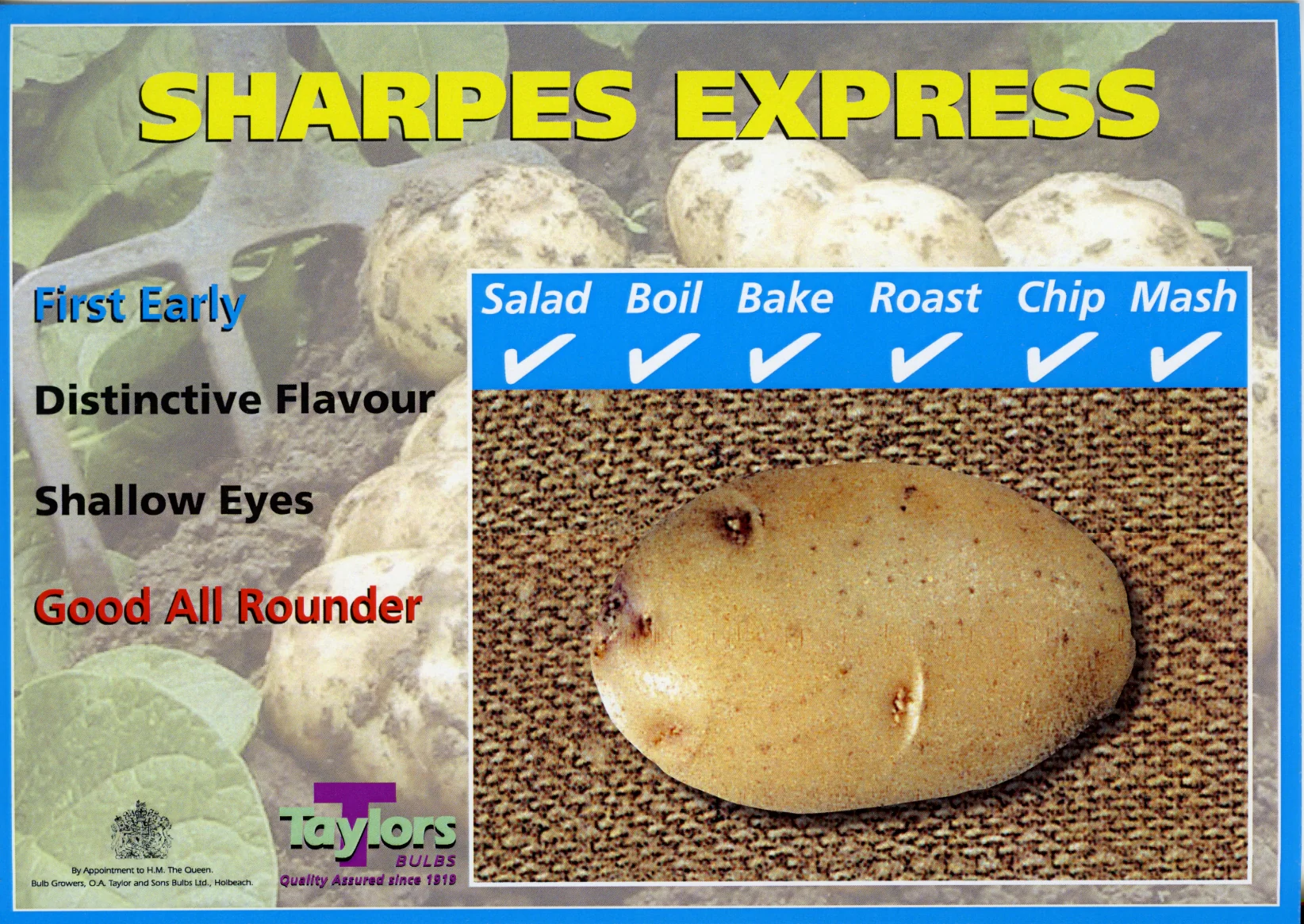 SHARPE S EXPRESS SEED POTATOES - Image 2