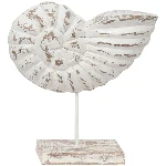 Shell white Dost S