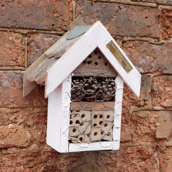 Small Bughouse