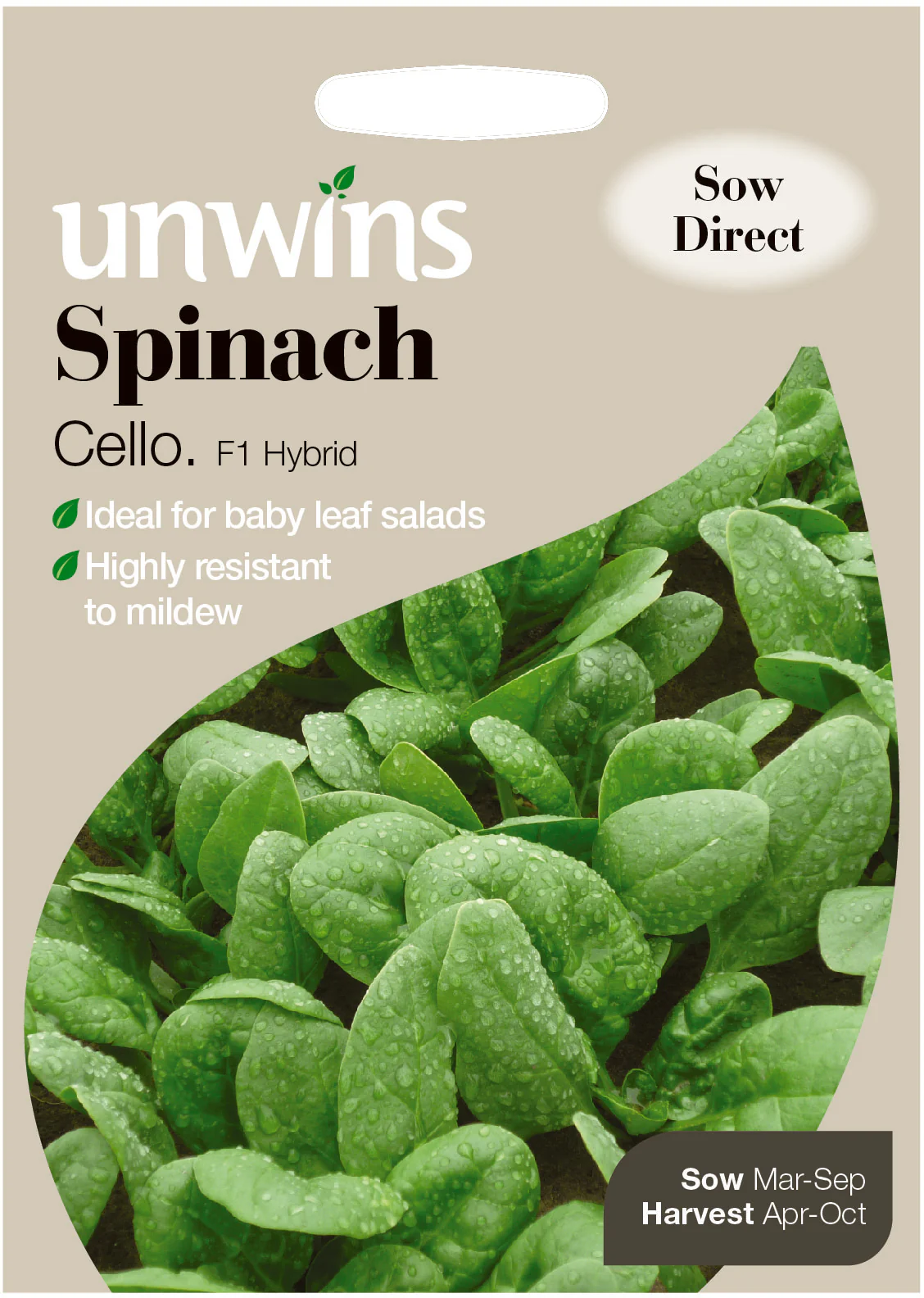 Spinach Cello