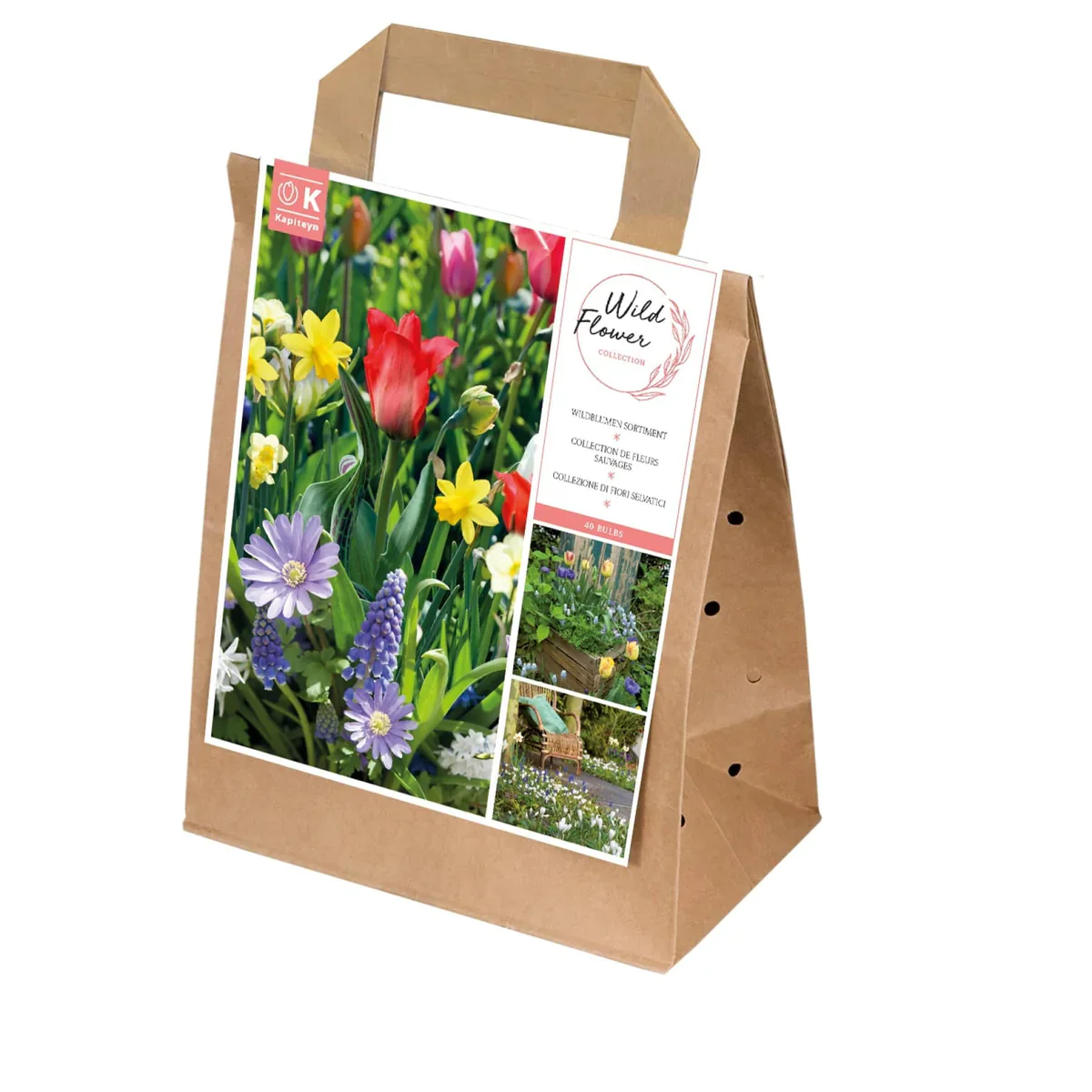 SPRING COLLECTION COLOUR THERAPY x 40