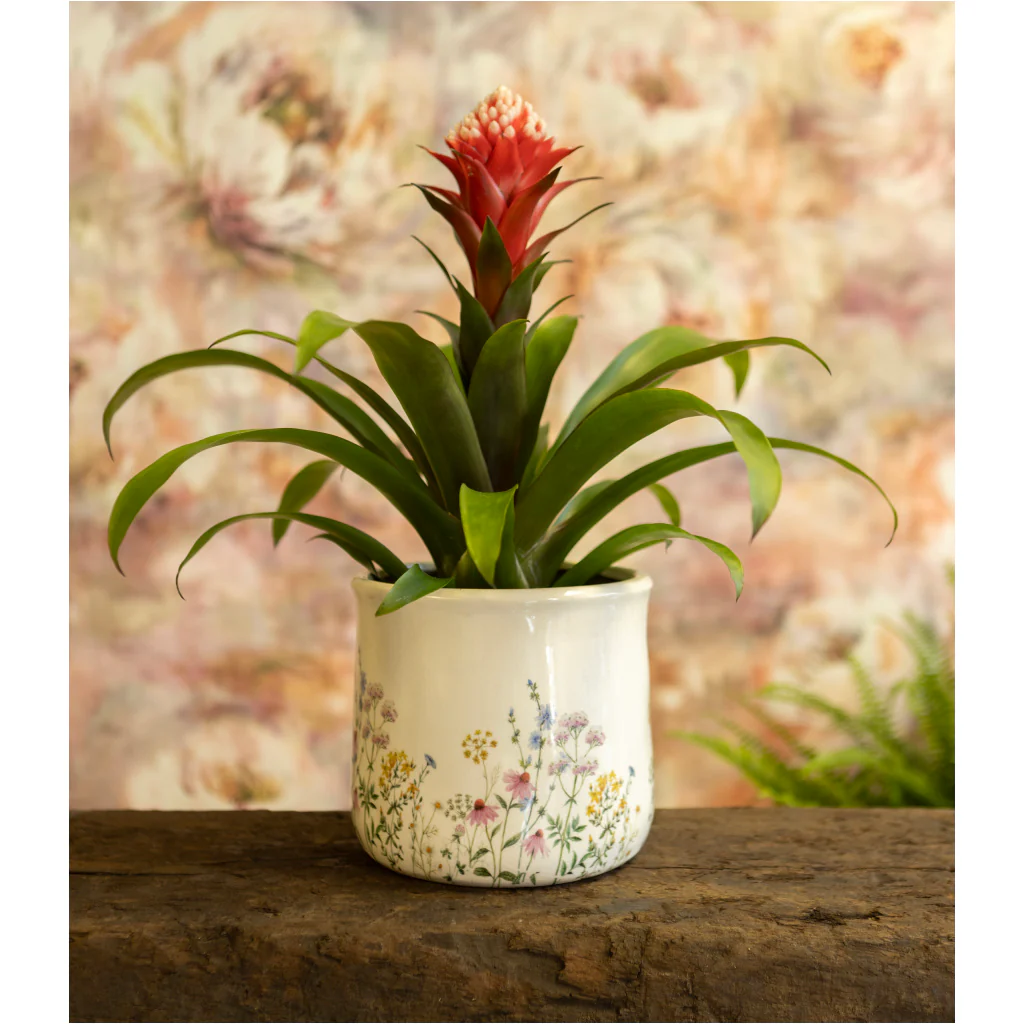 Springtime Pot L Ø17cm x H16cm - Image 2