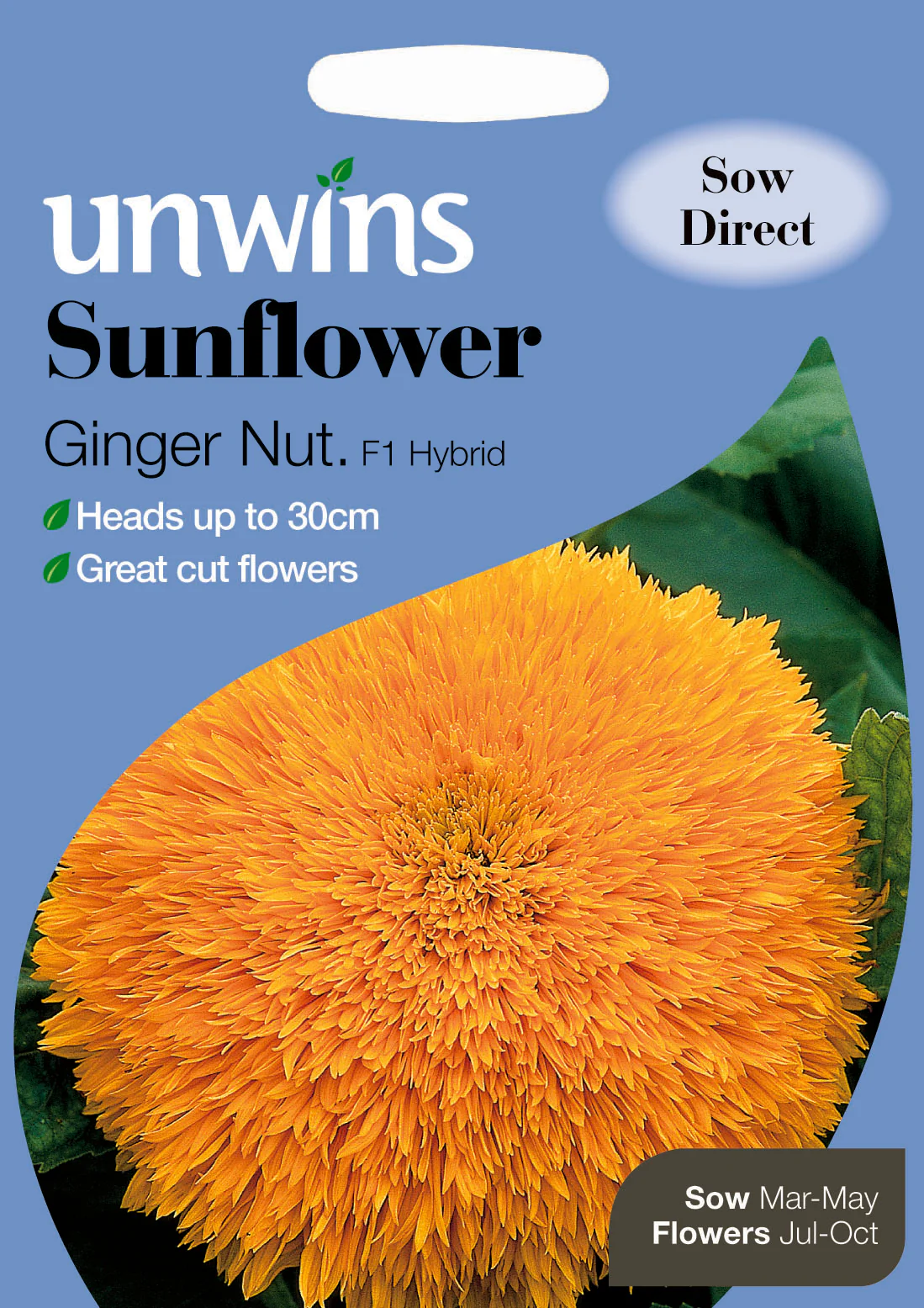 Sunflower Ginger Nut F1