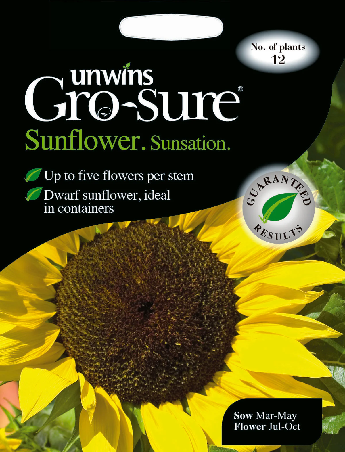Sunflower Sunsation F1