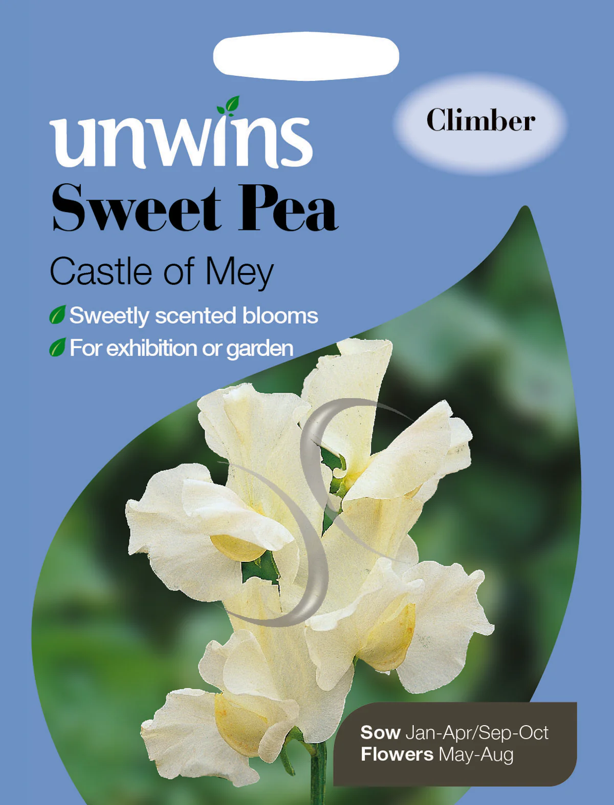 Sweet Pea Castle Of Mey