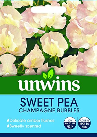 Sweet Pea Champagne Bubbles