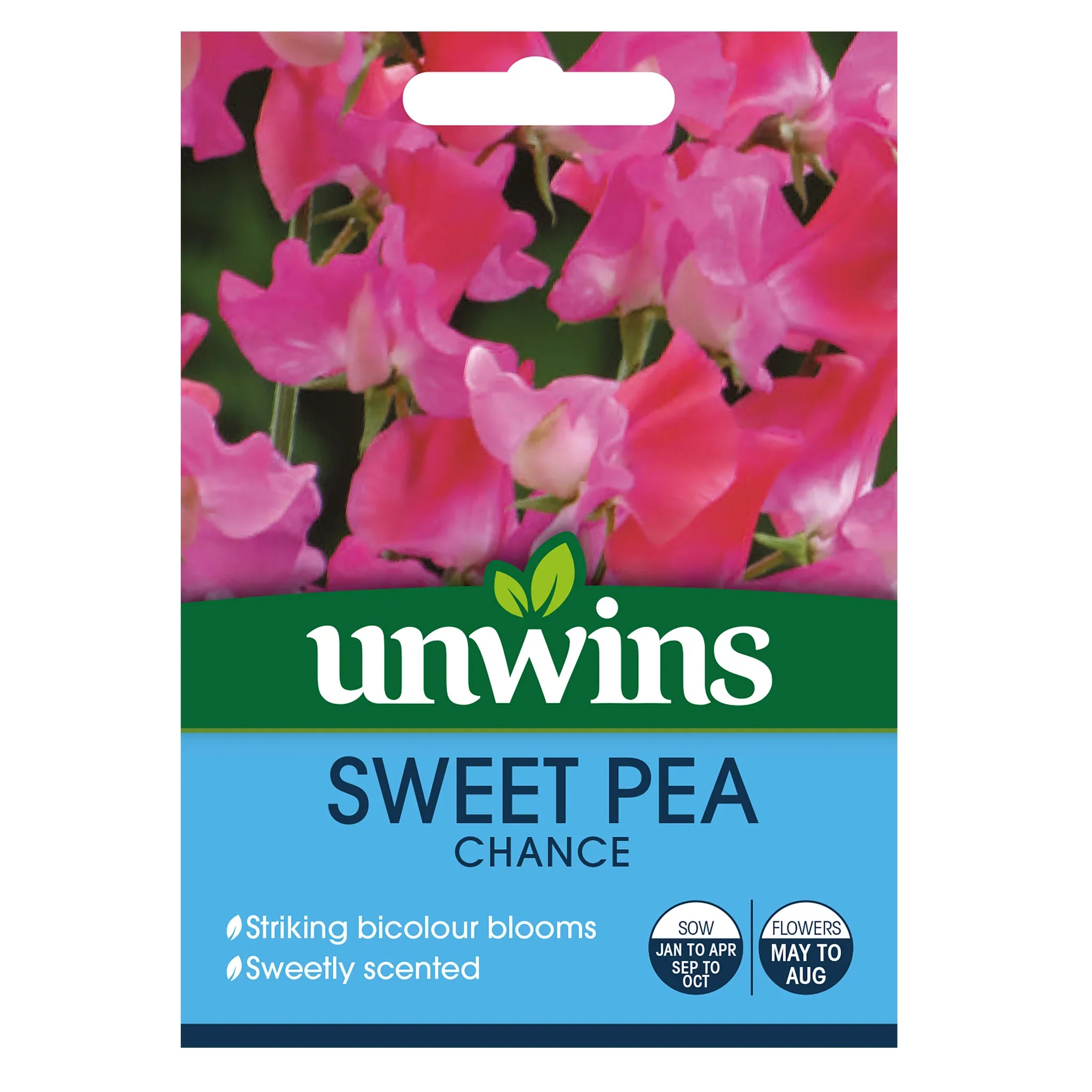 Sweet Pea Chance