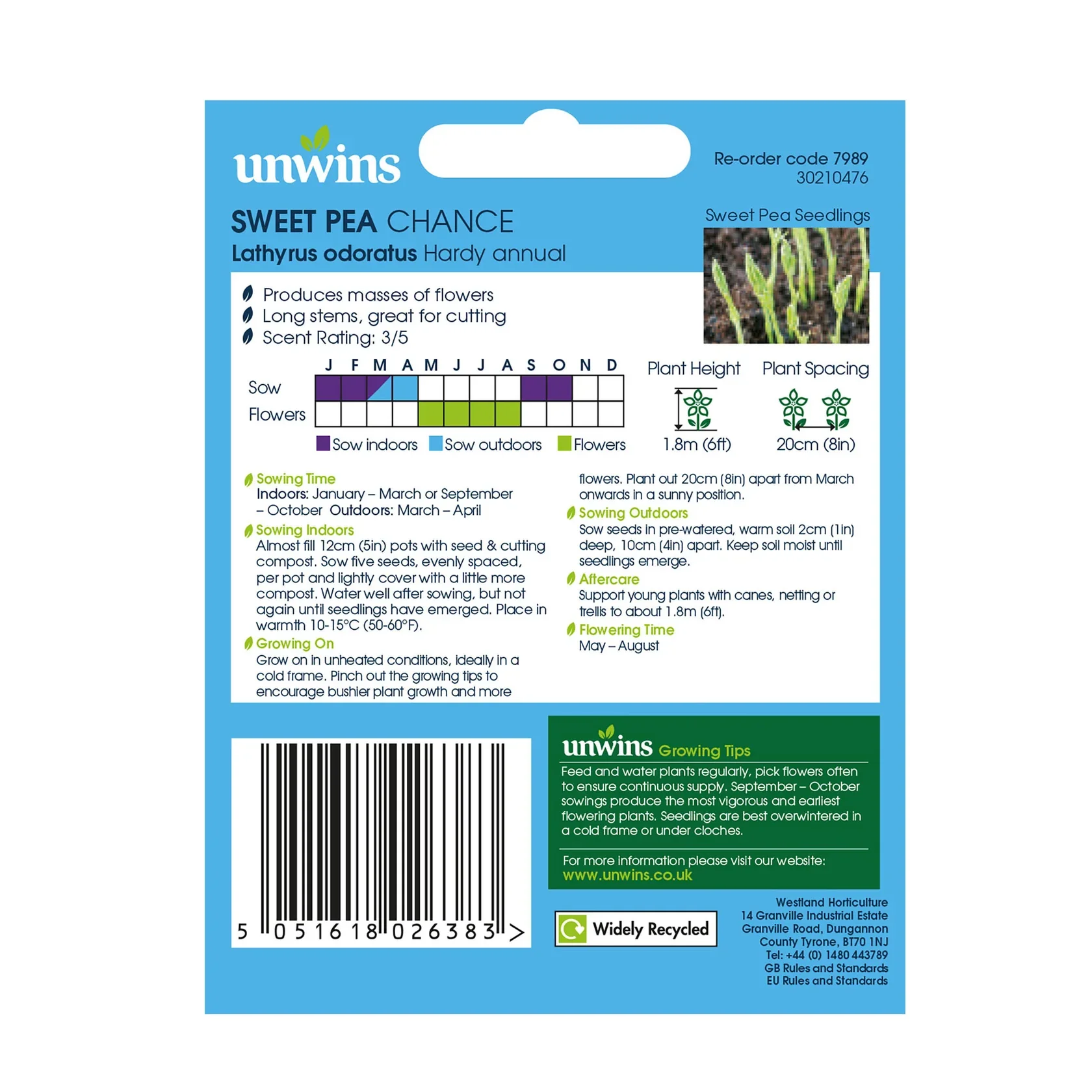 Sweet Pea Chance - Image 2