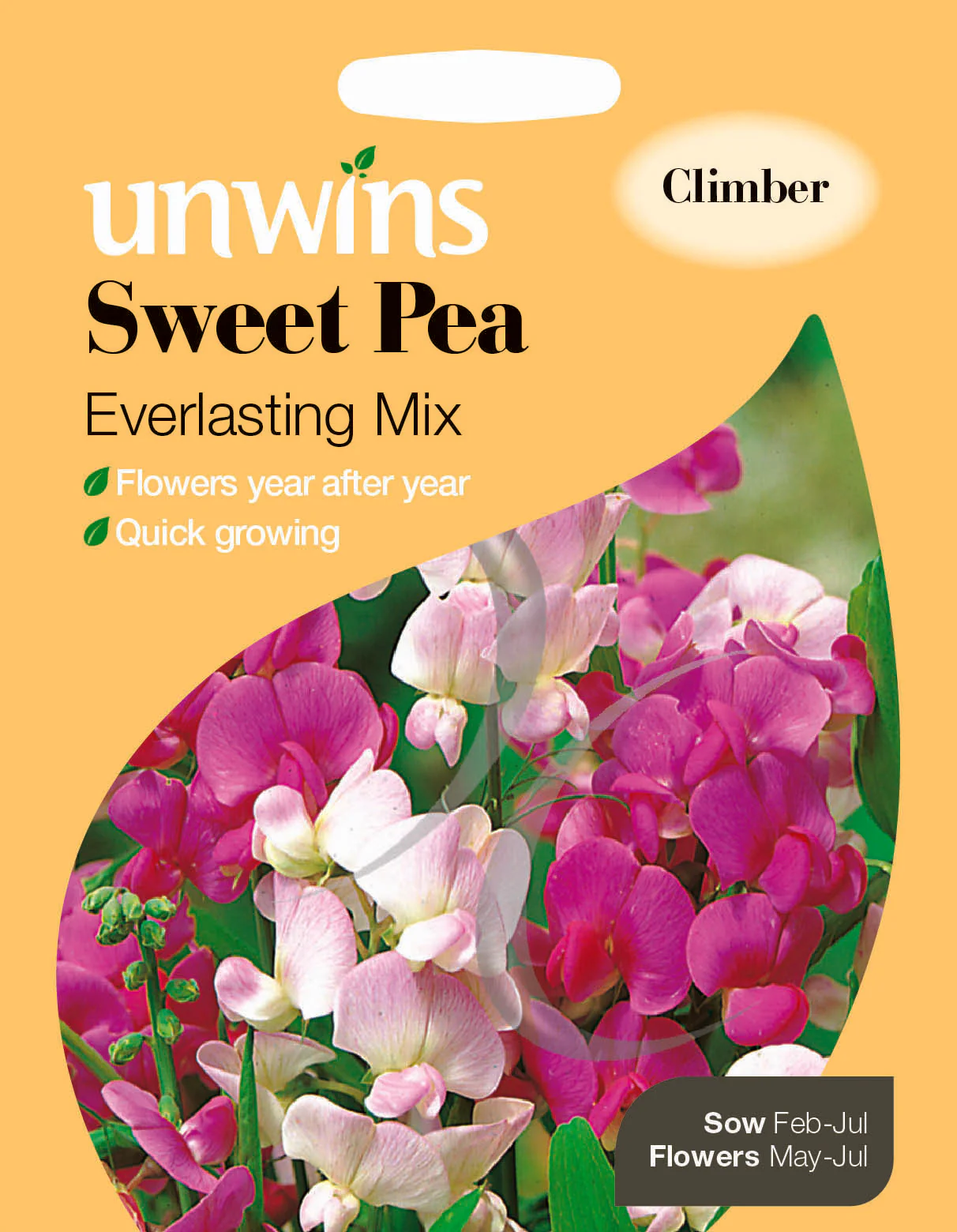 Sweet Pea Everlasting Mix