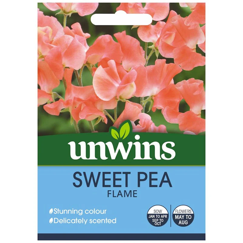 Sweet Pea Flame
