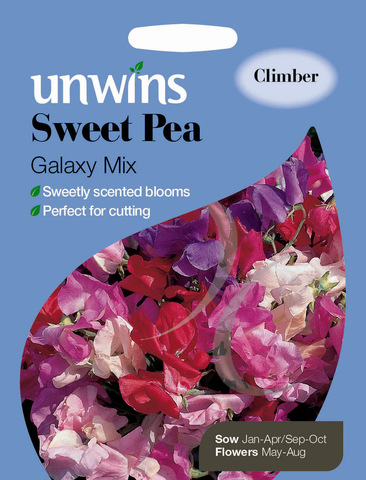Sweet Pea Galaxy Mixed