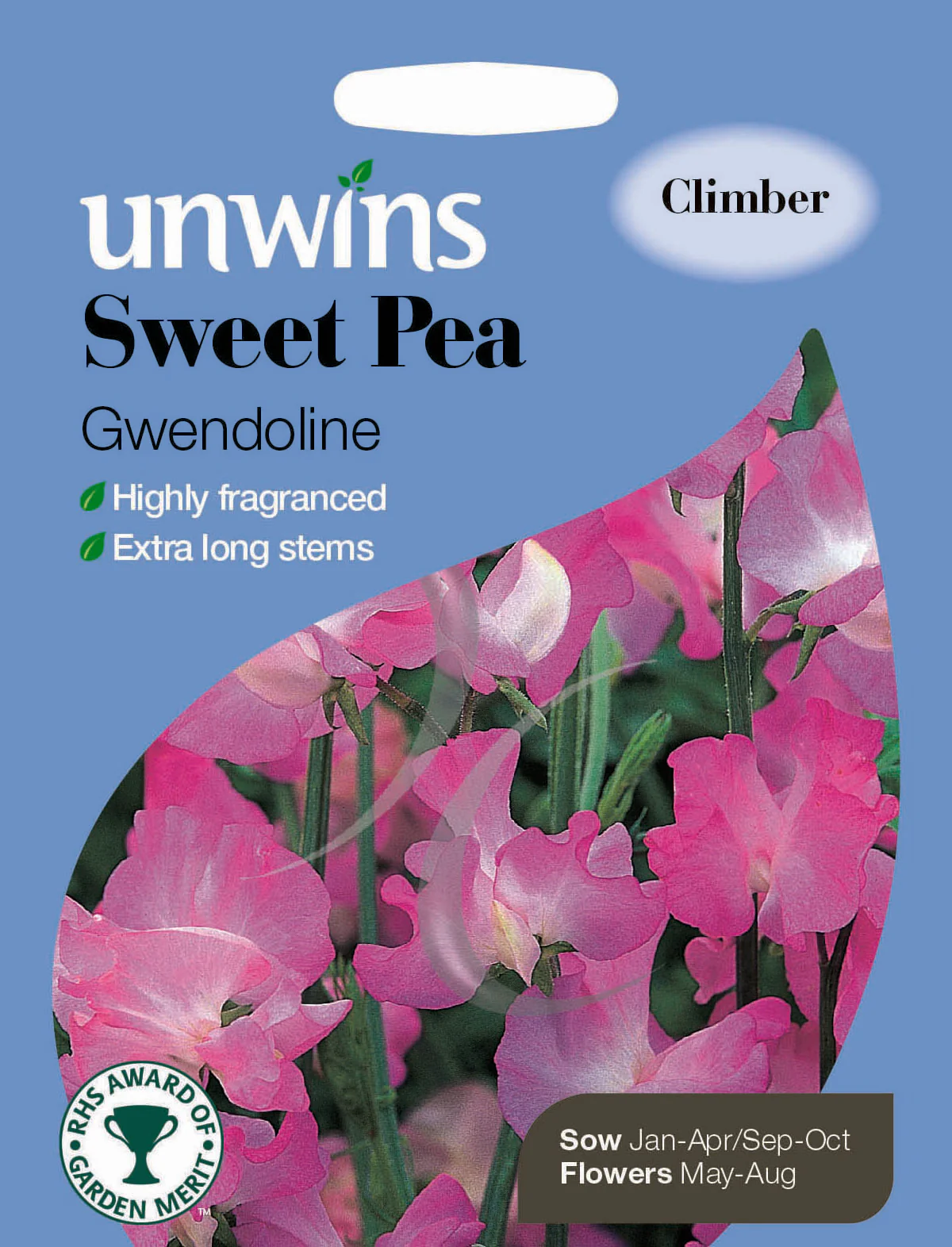 Sweet Pea Gwendoline