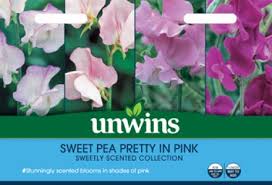 Sweet Pea Pretty in Pink