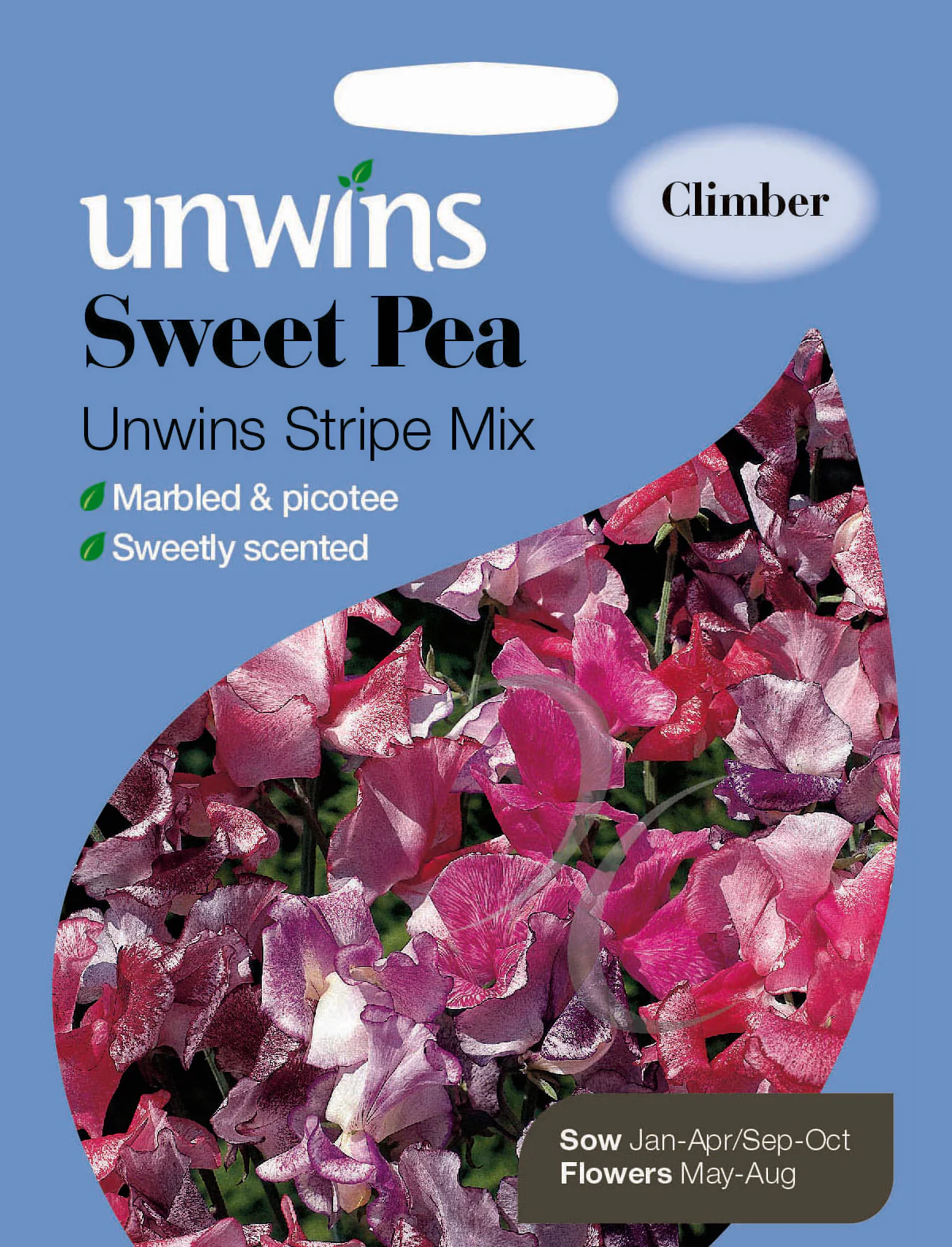 Sweet Pea Unwins Stripe Mix