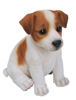 T/C Jack Russell Pup F