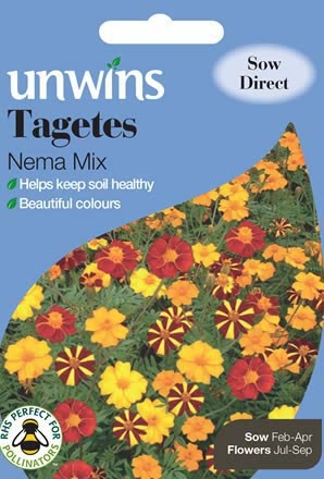 Tagetes Nema Mix