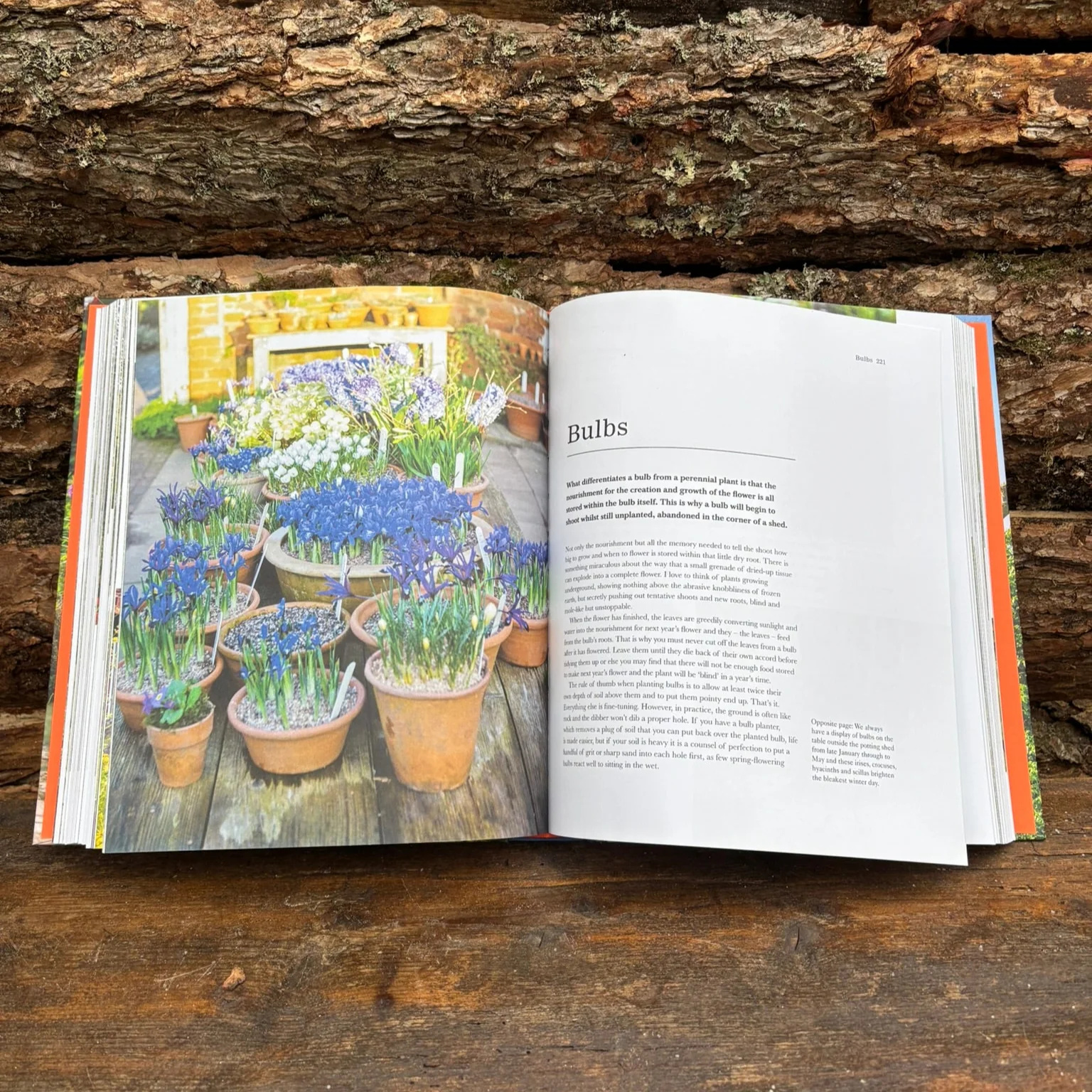 The Complete Gardener Monty Don - Image 3