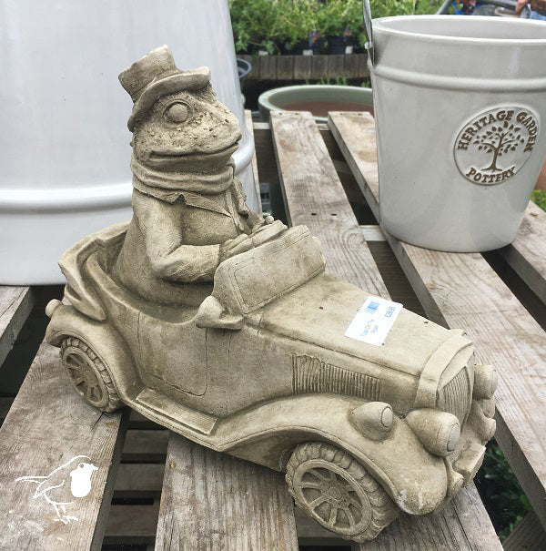 Toad On The Road