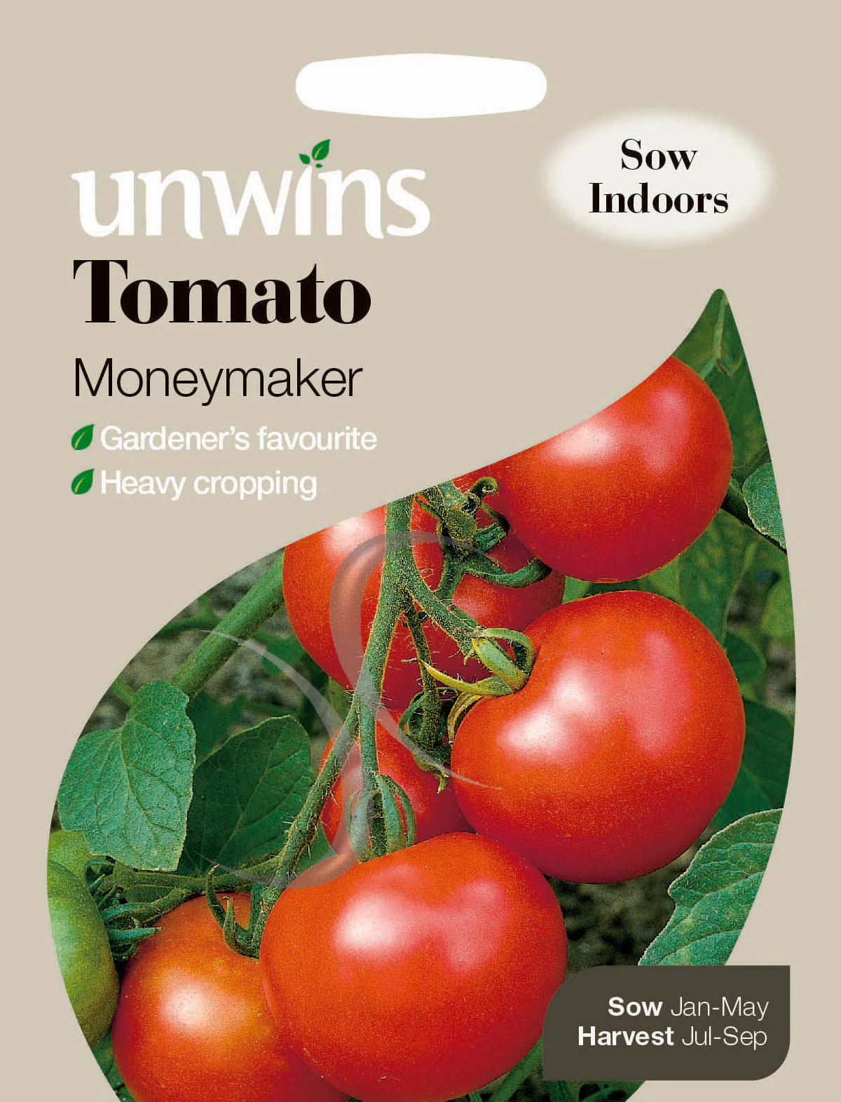 Tomato Moneymaker